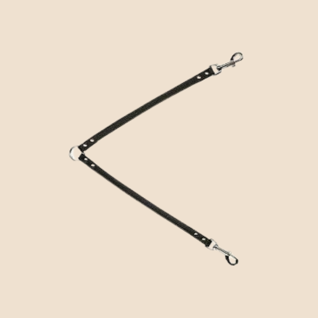 Koppelijn voor twee Honden