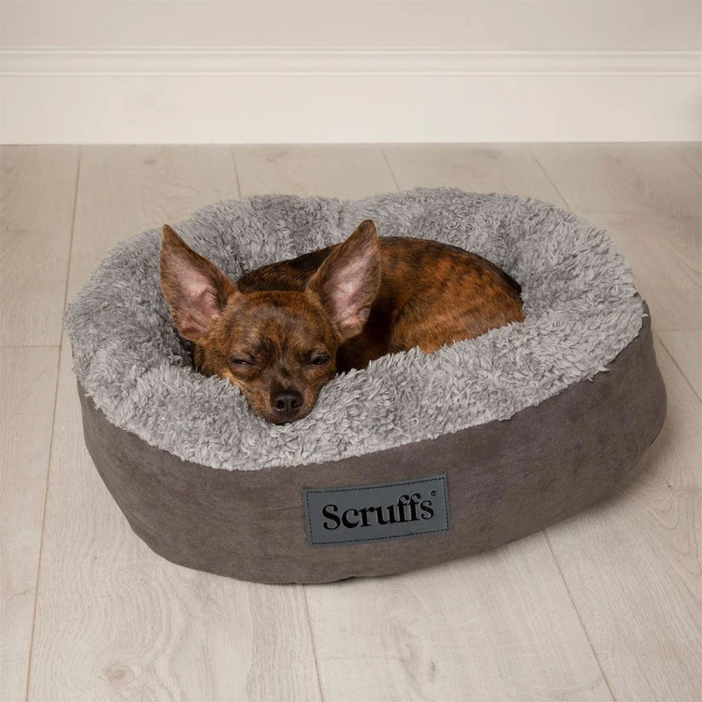 Scruffs Cozy bed