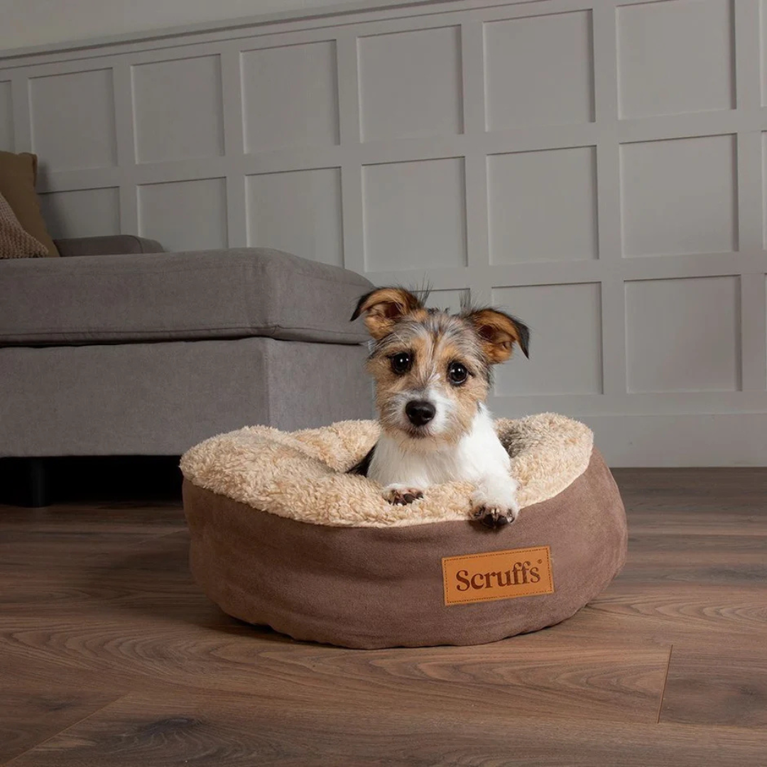 Scruffs Cozy bed