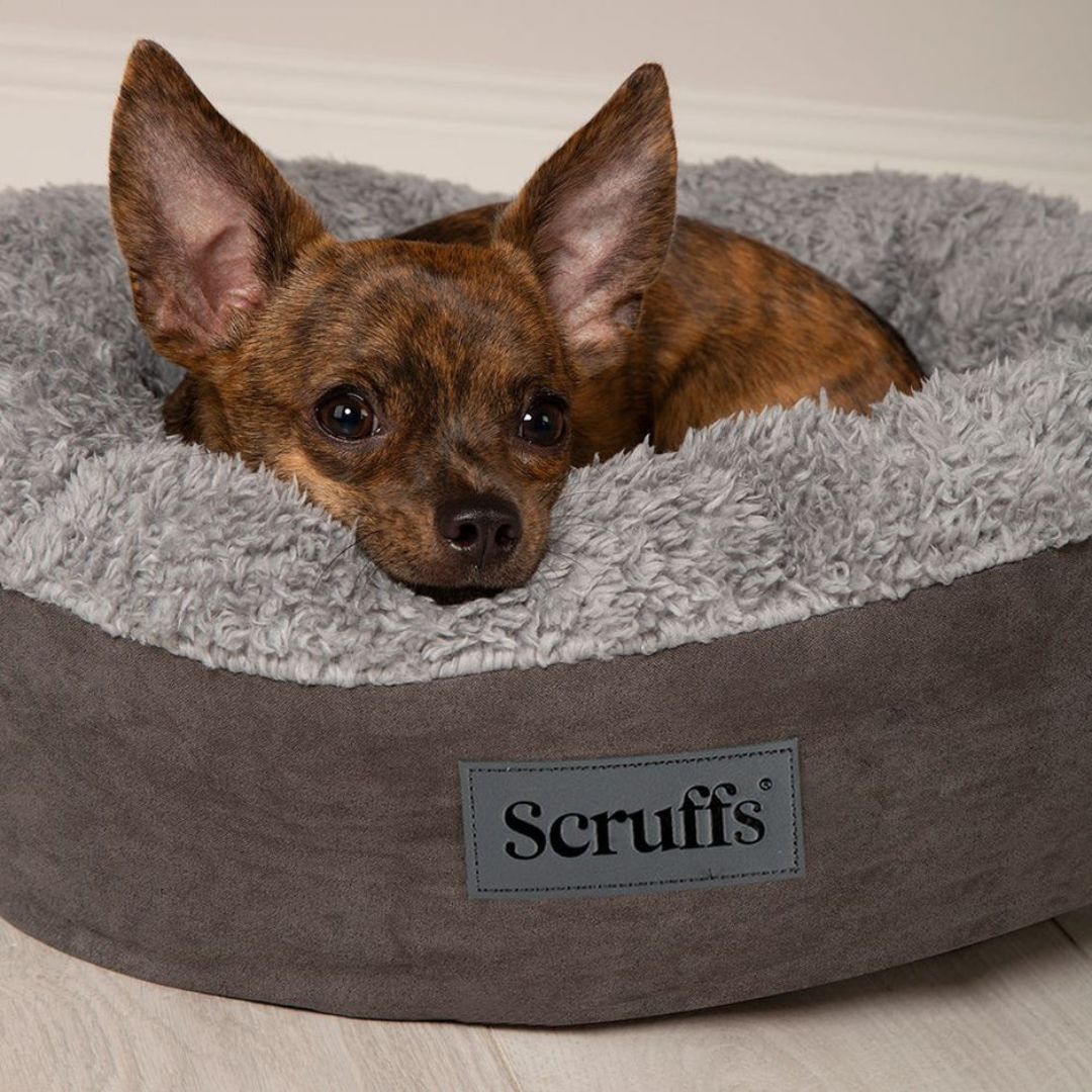 Scruffs Cozy bed
