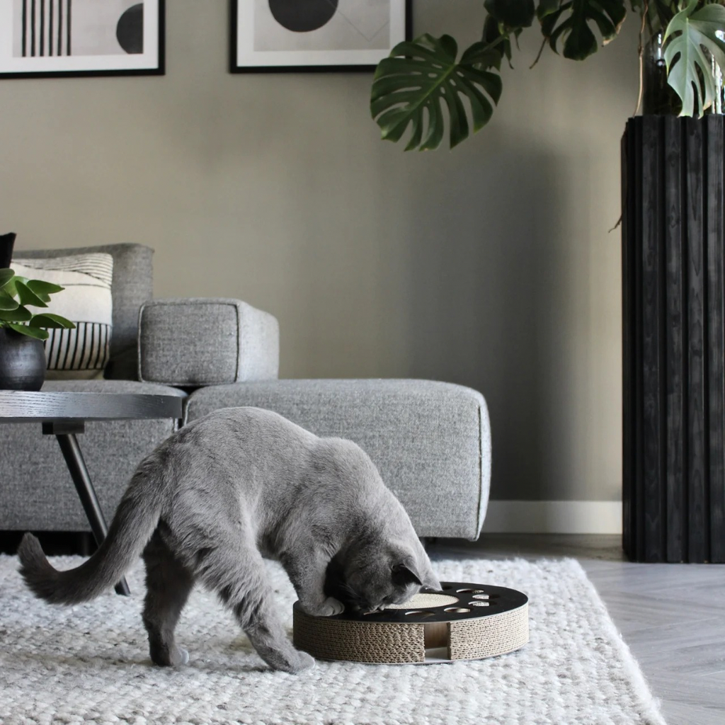 District krabfunctie met speelbal