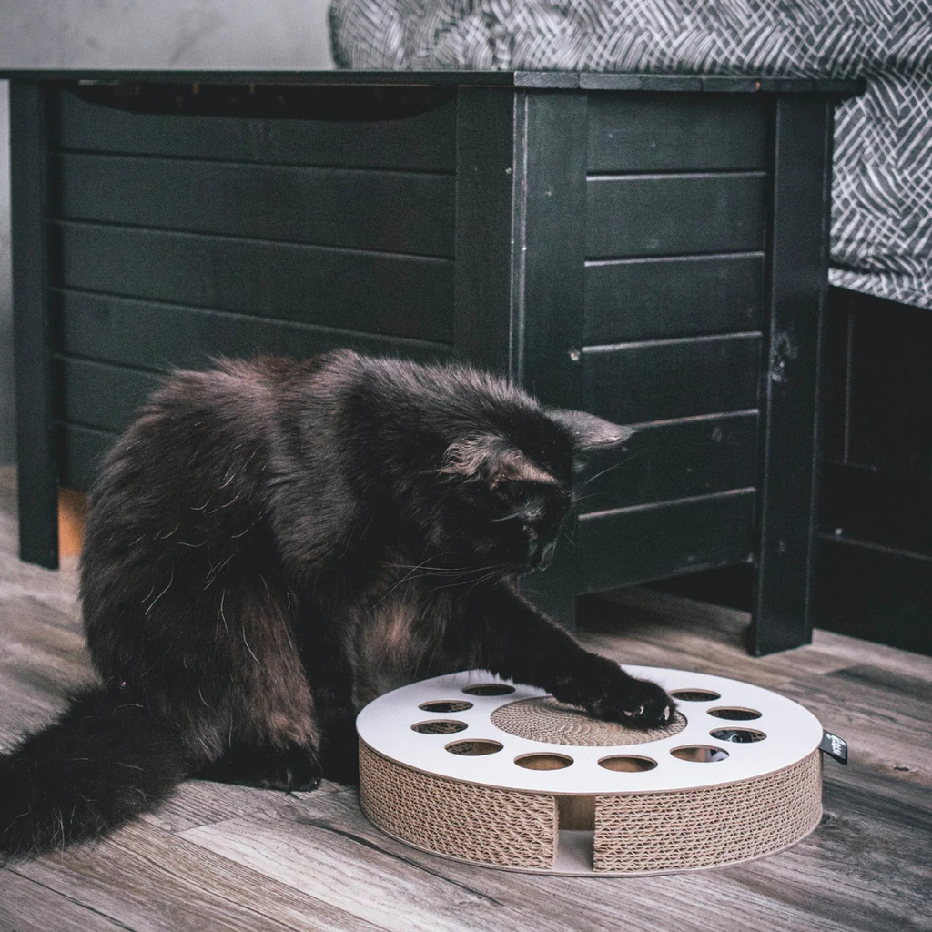 District krabfunctie met speelbal