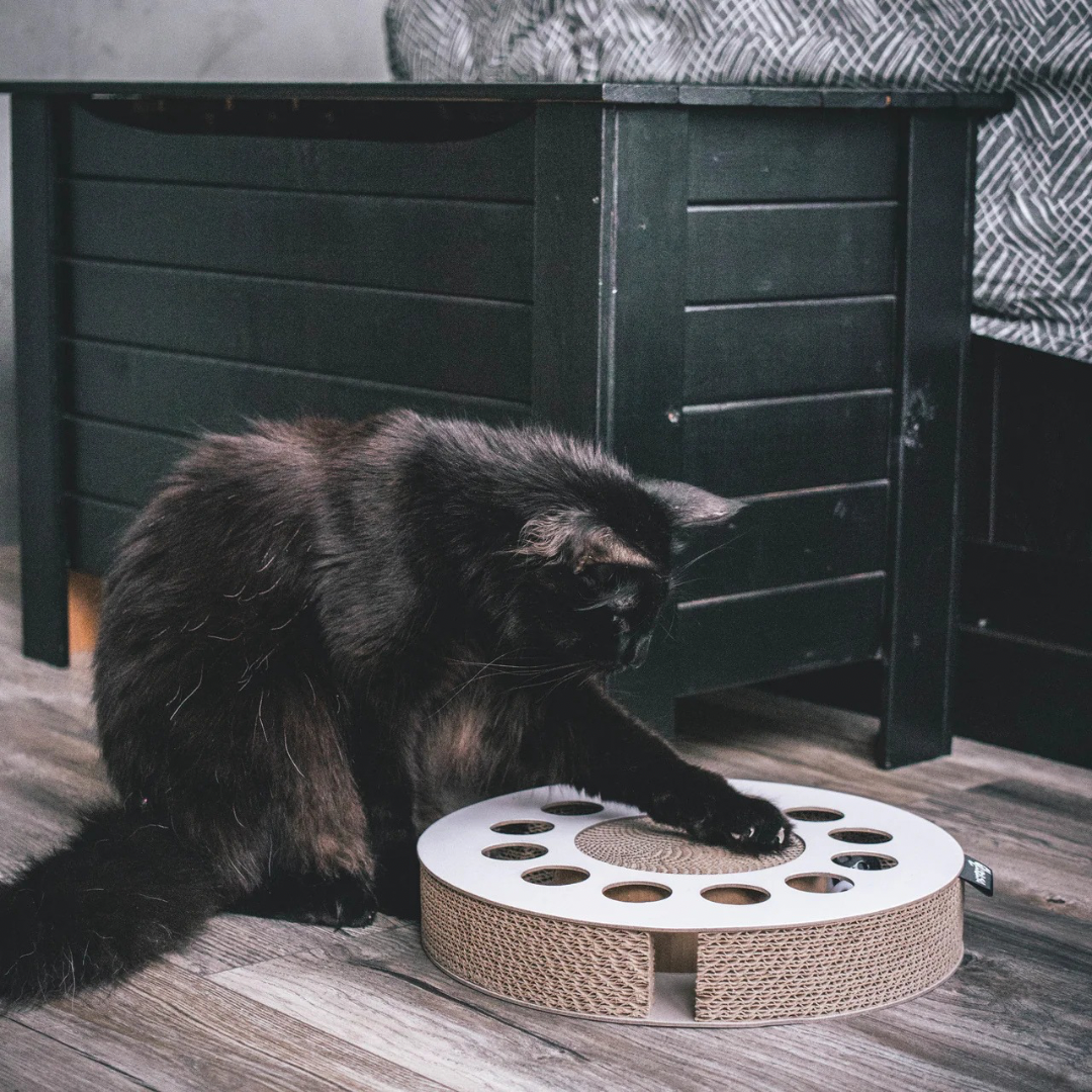 District krabfunctie met speelbal