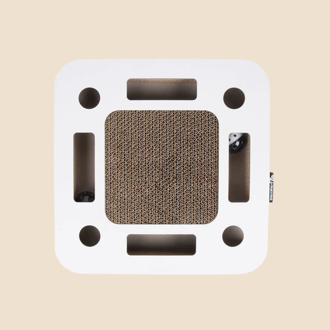 District krabfunctie met speelbal