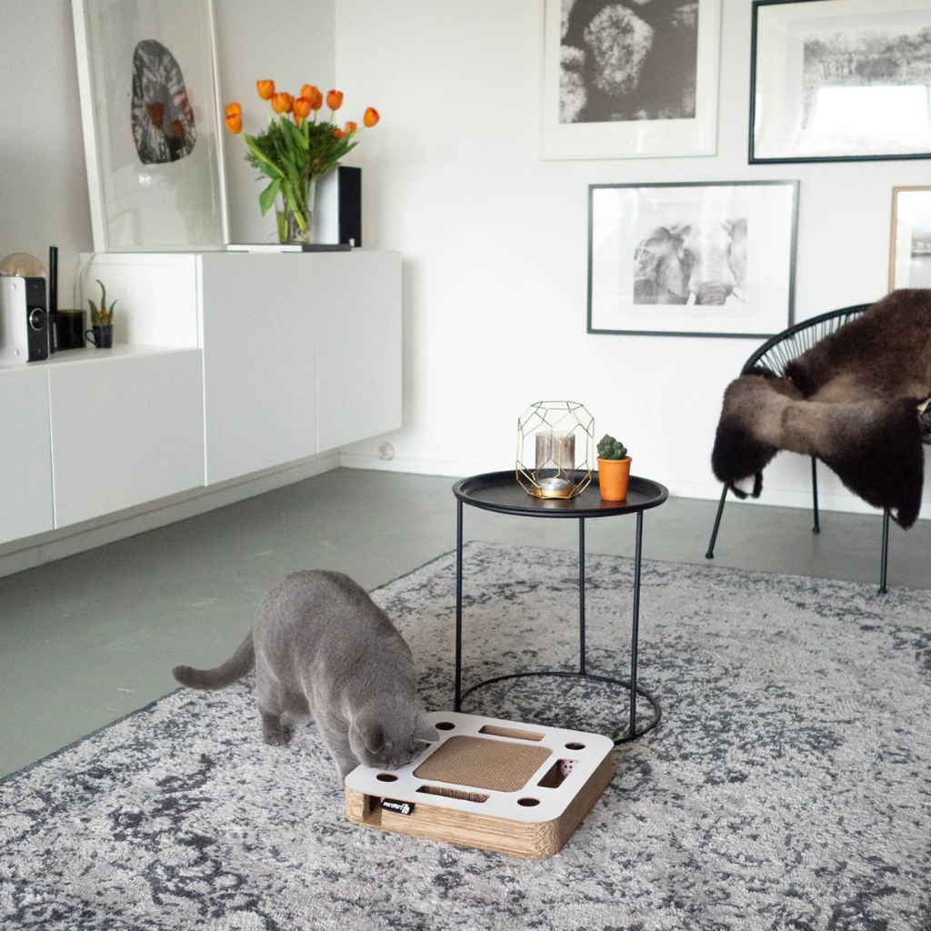 District krabfunctie met speelbal