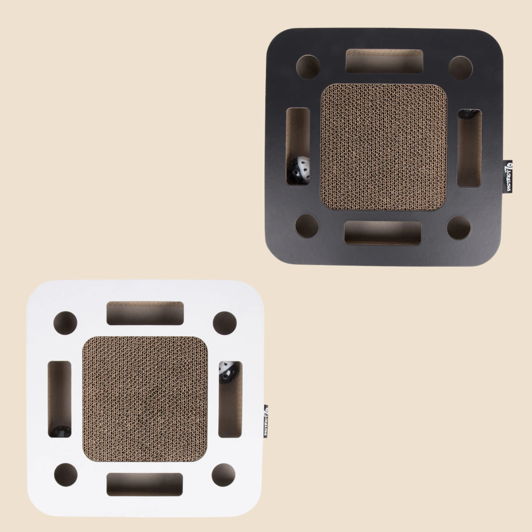 District krabfunctie met speelbal