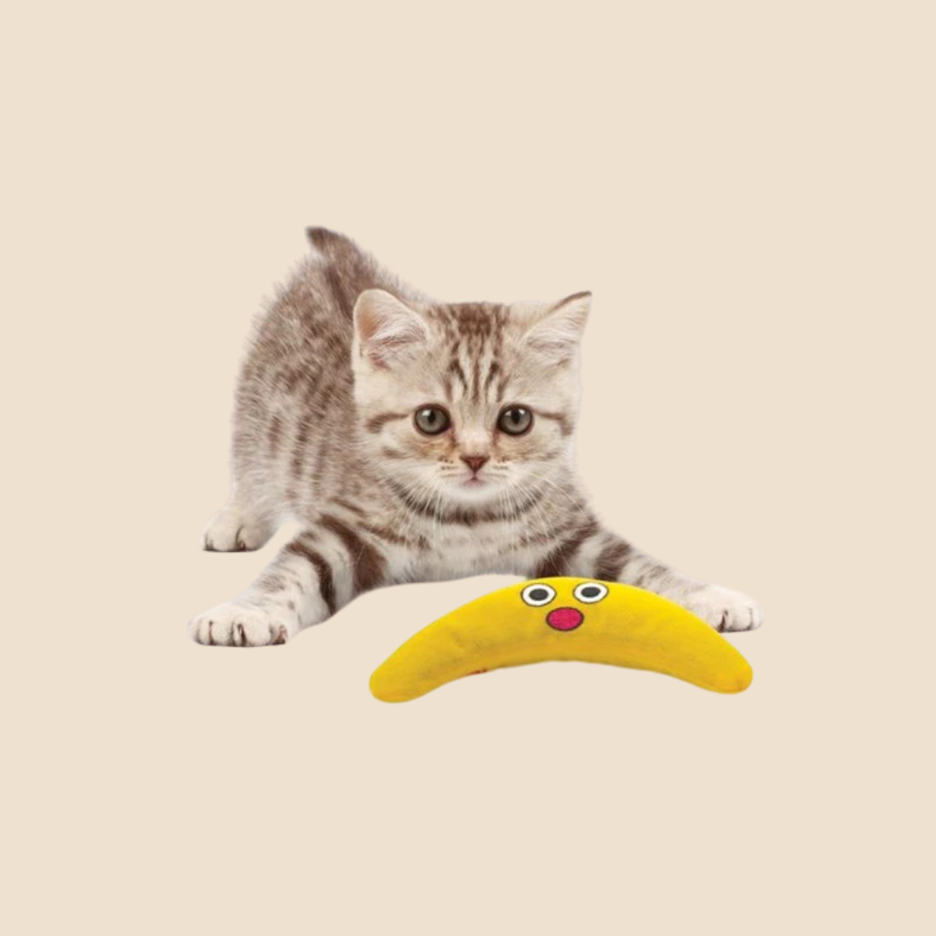 Petstages Catnip buddy