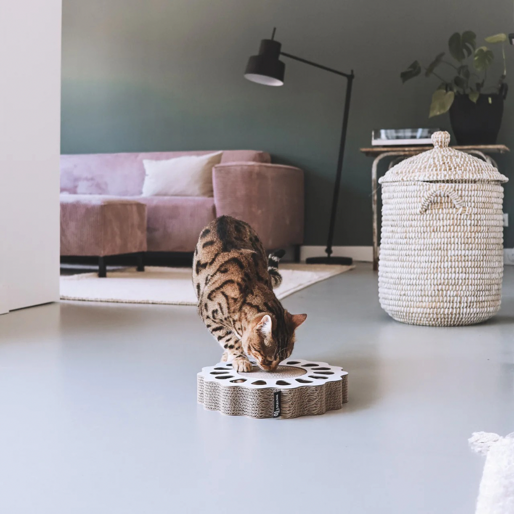 District krabfunctie met speelbal