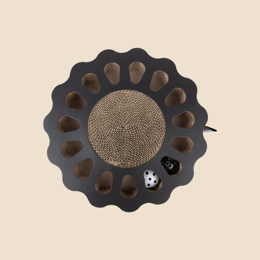 District krabfunctie met speelbal