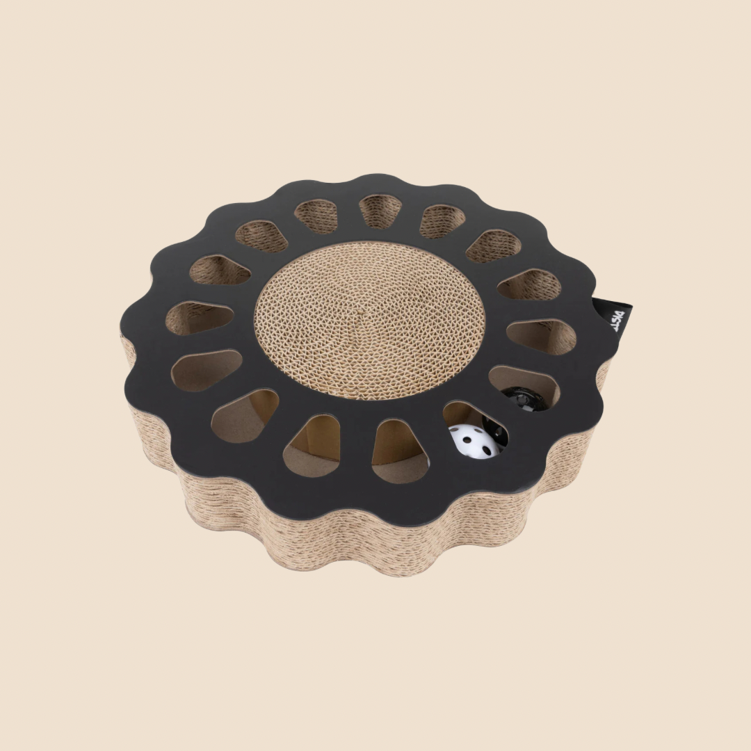 District krabfunctie met speelbal