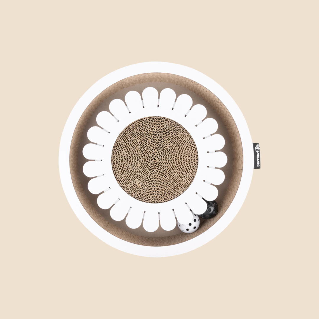 District krabfunctie met speelbal