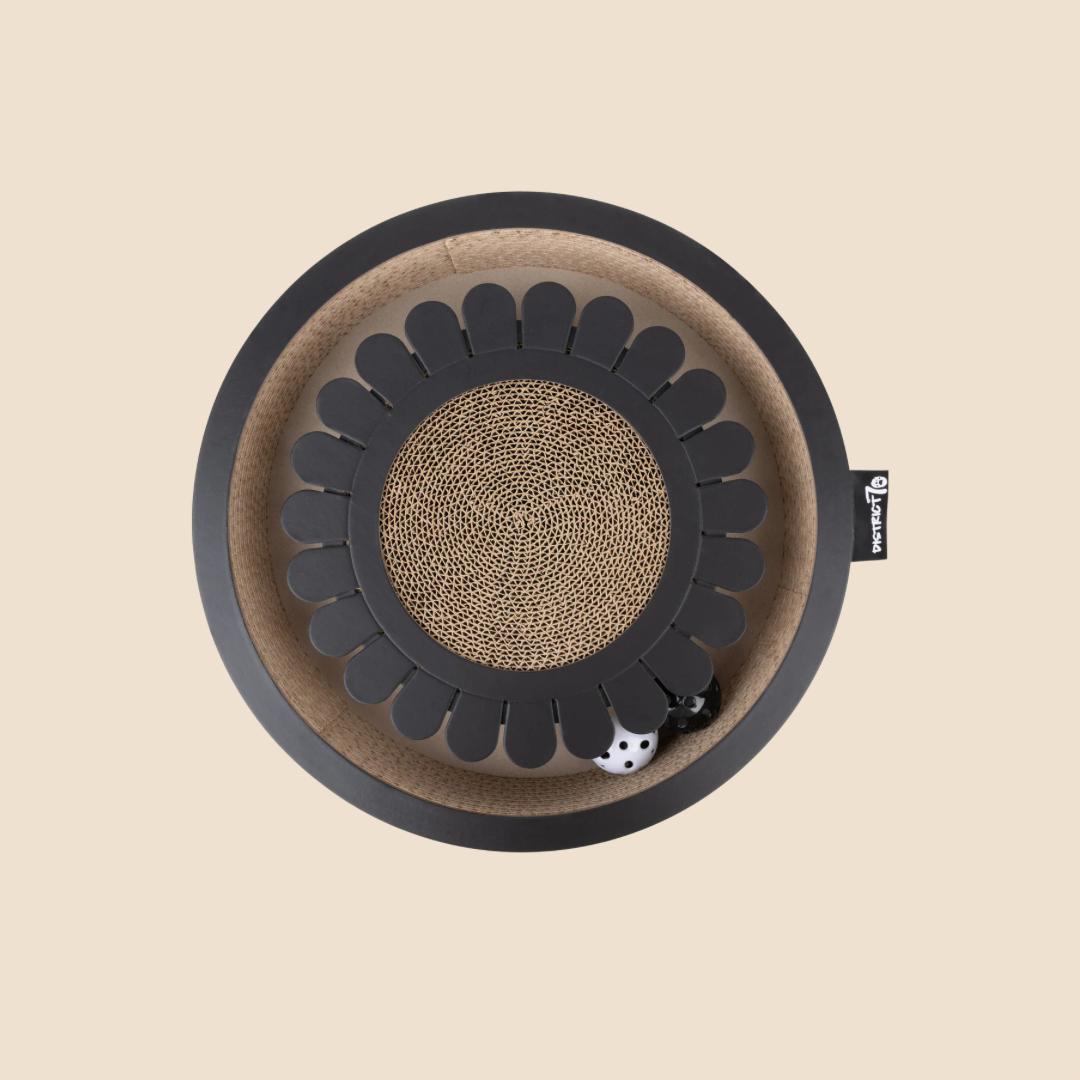 District krabfunctie met speelbal