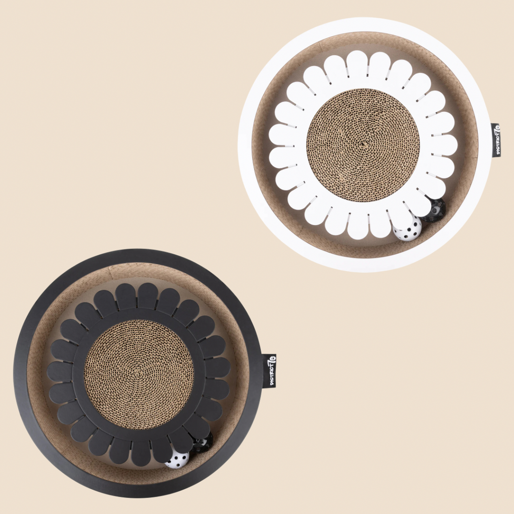 District krabfunctie met speelbal