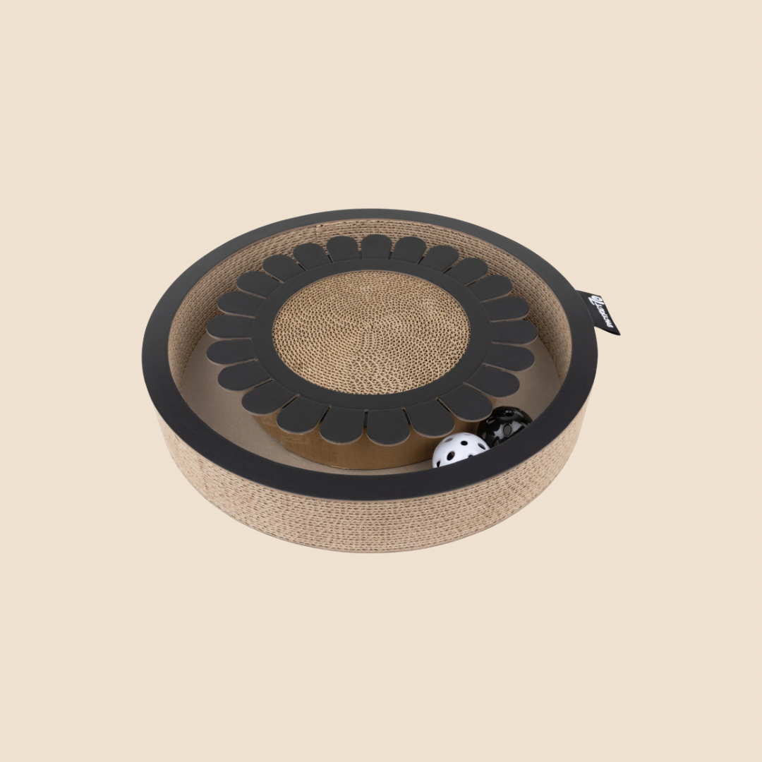 District krabfunctie met speelbal