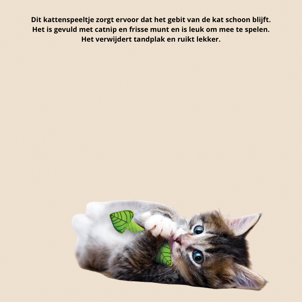 Fresh breath speelgoed