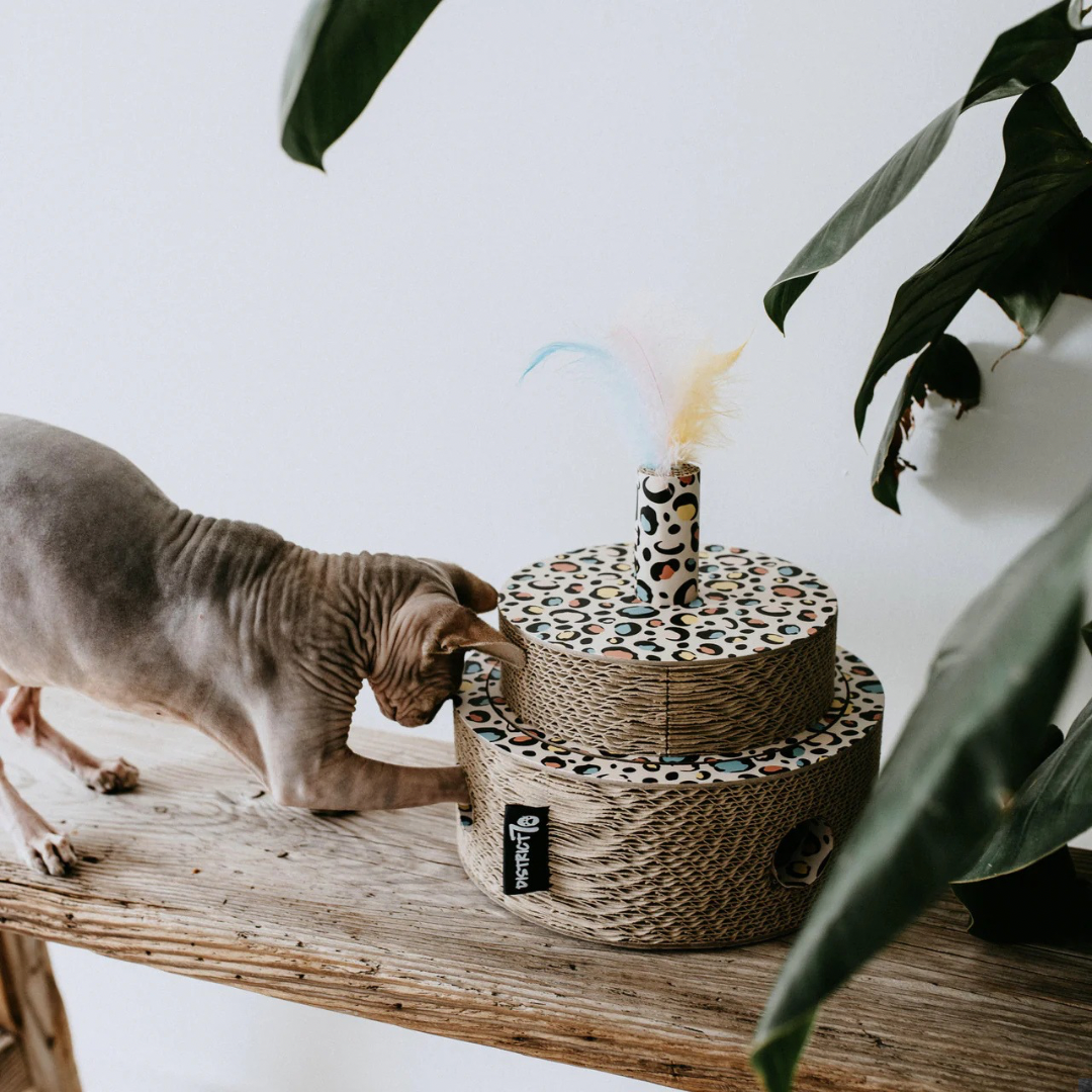 District krabfunctie met speelbal