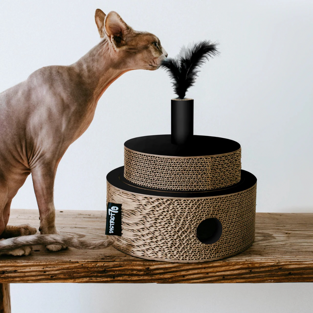 District krabfunctie met speelbal