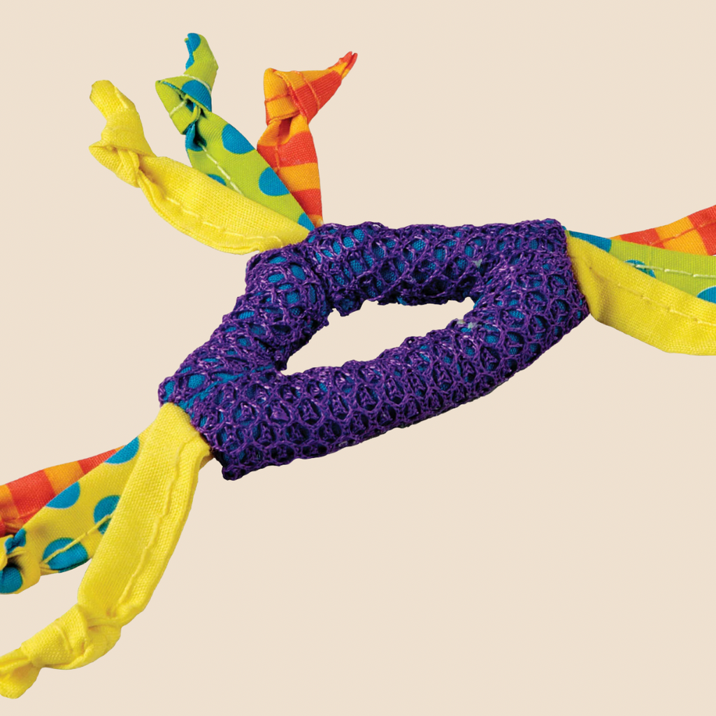 Dental Health speelgoed