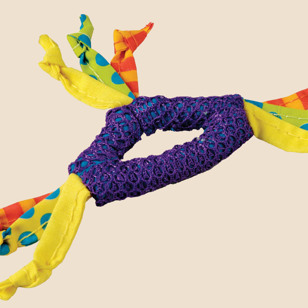 Dental Health speelgoed