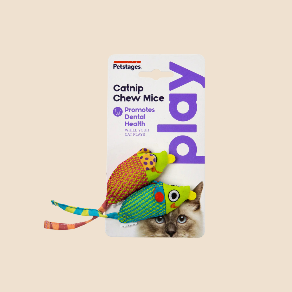 Dental Health speelgoed