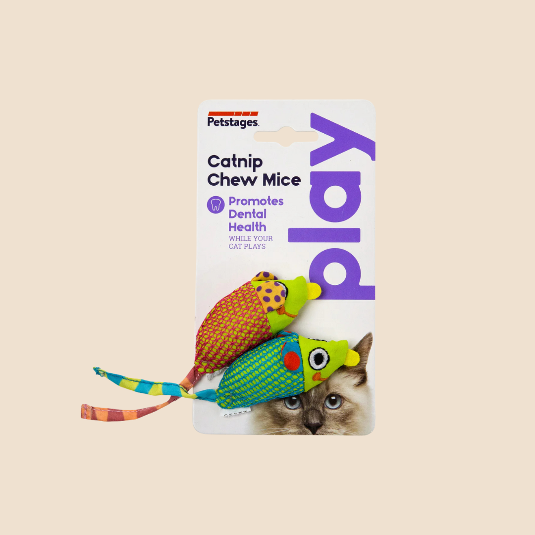 Dental Health speelgoed