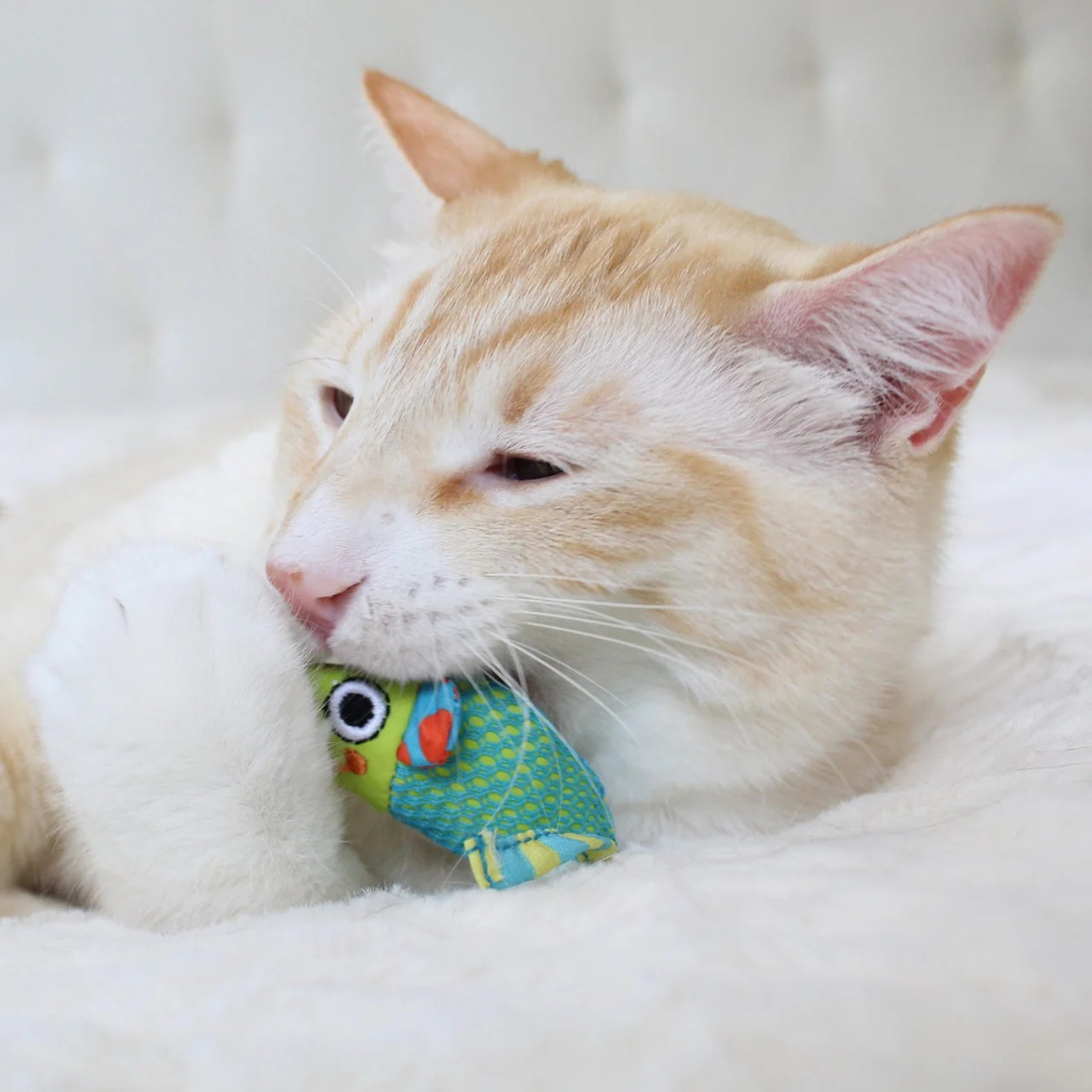 Dental Health speelgoed