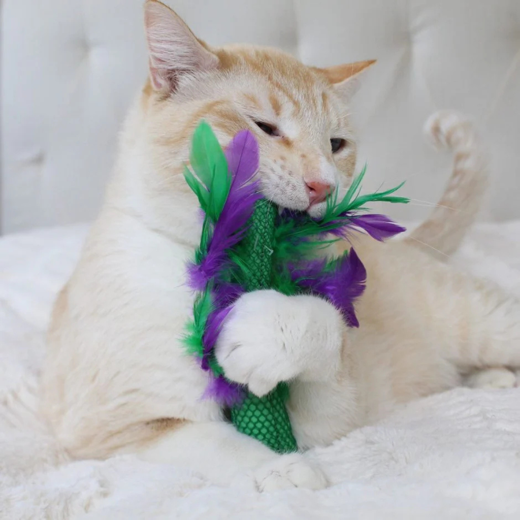 Dental Health speelgoed