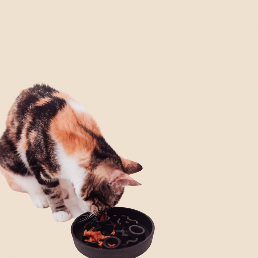 District Bamboo Slowfeeder