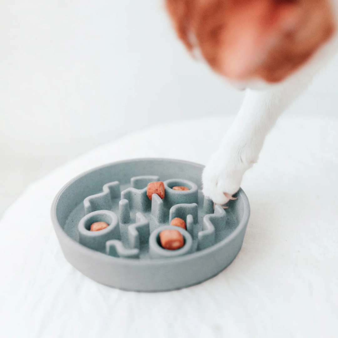 District Bamboo Slowfeeder