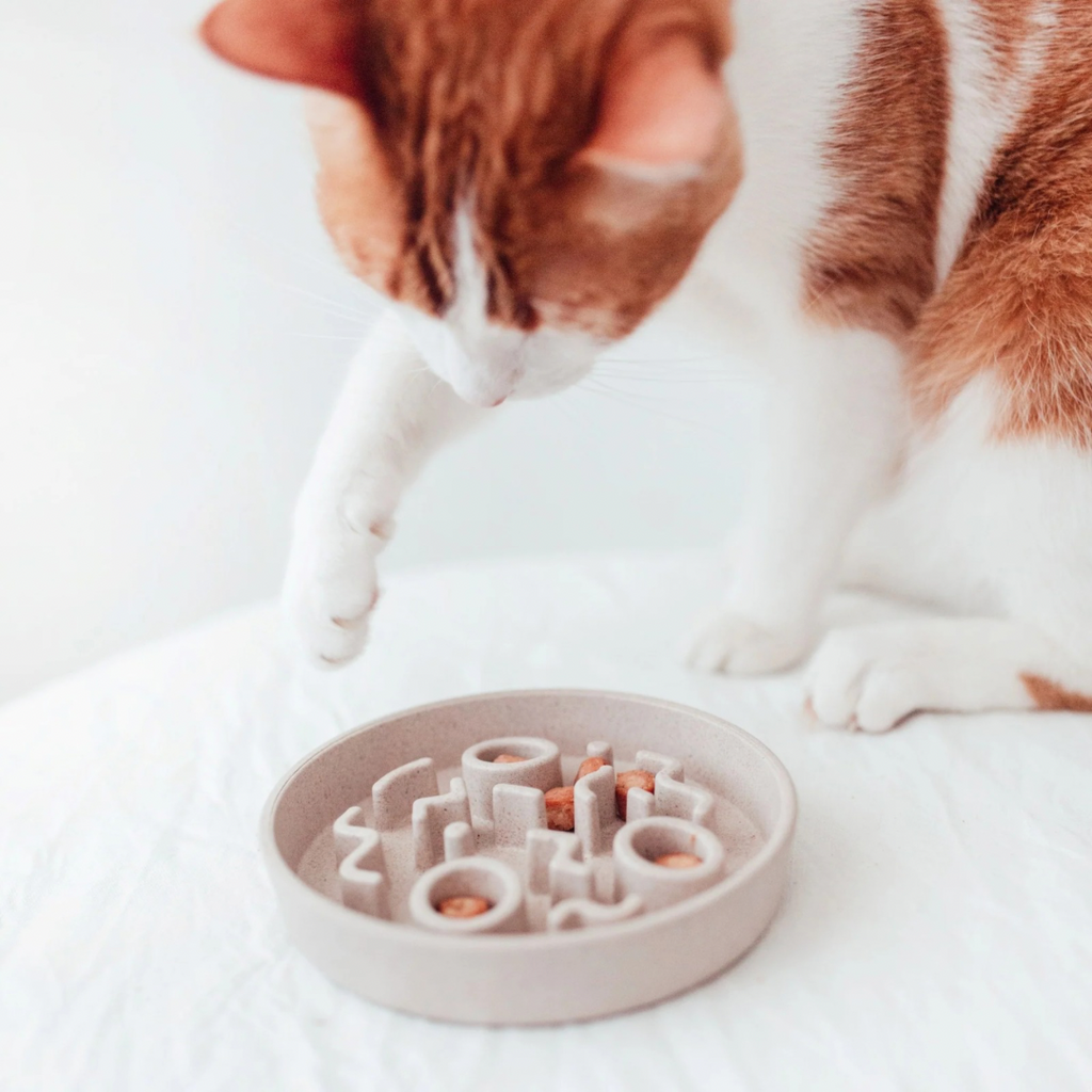 District Bamboo Slowfeeder