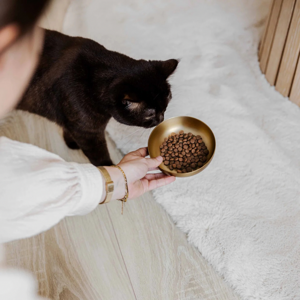 District Luxe voer en drinkbak