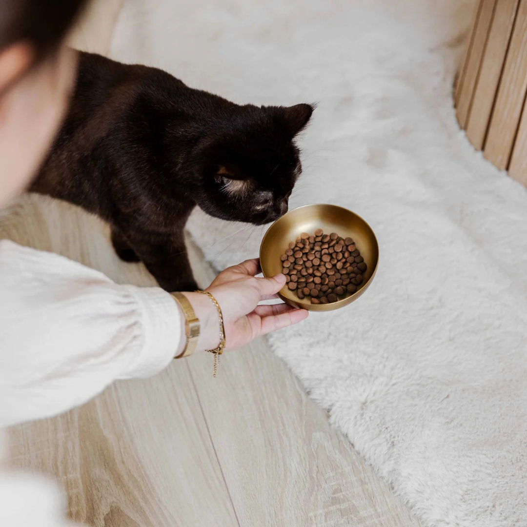 District Luxe voer en drinkbak