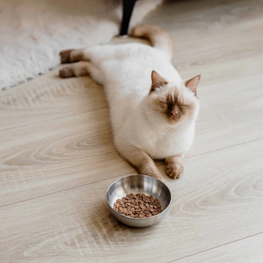 District Luxe voer en drinkbak