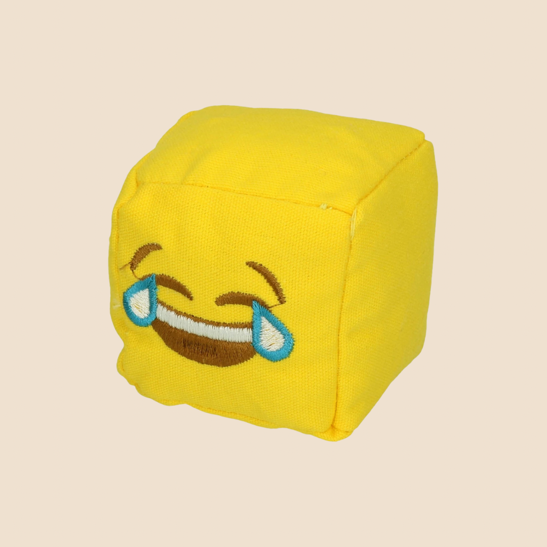 Catmoji Cube Lach