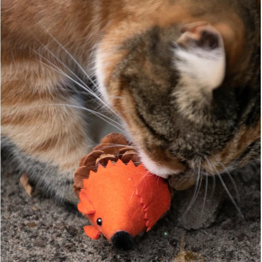 Madnip Dennenappel Muis