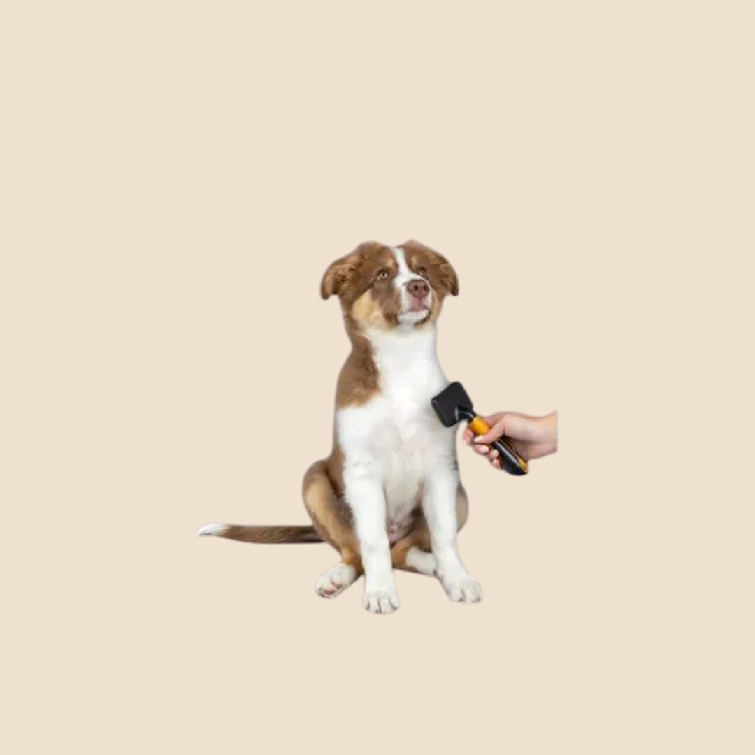 Puppy Borstel Universeel