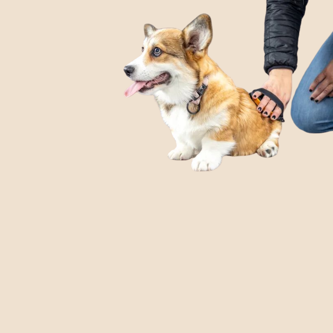 Puppy Massage Borstel