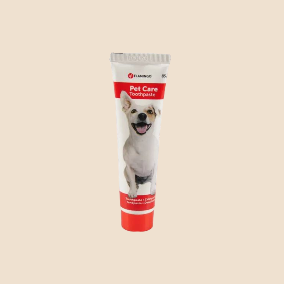 Tandpasta Munt Tube