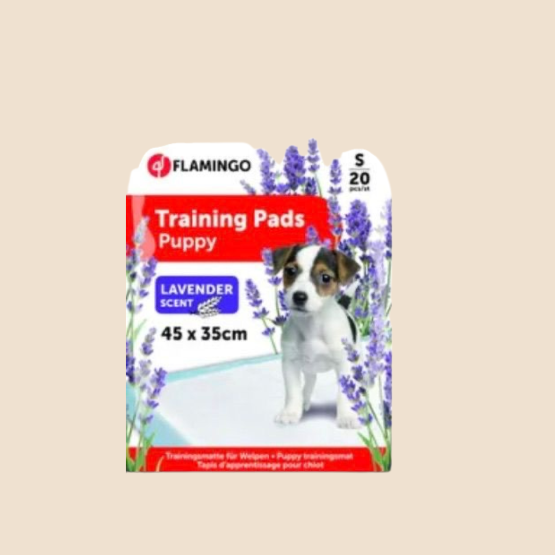 Trainingsmat Lavendel Pady