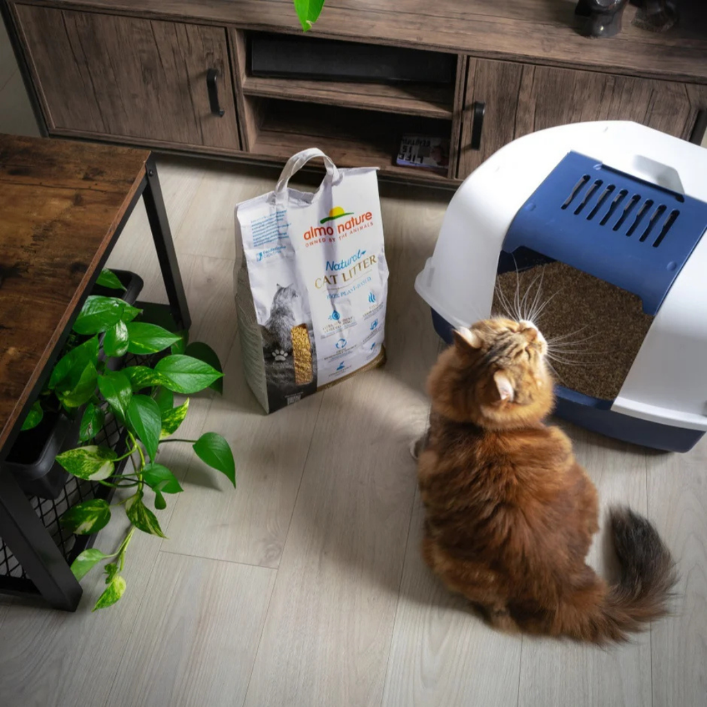 Kattenbakvulling Grain Texture 4KG