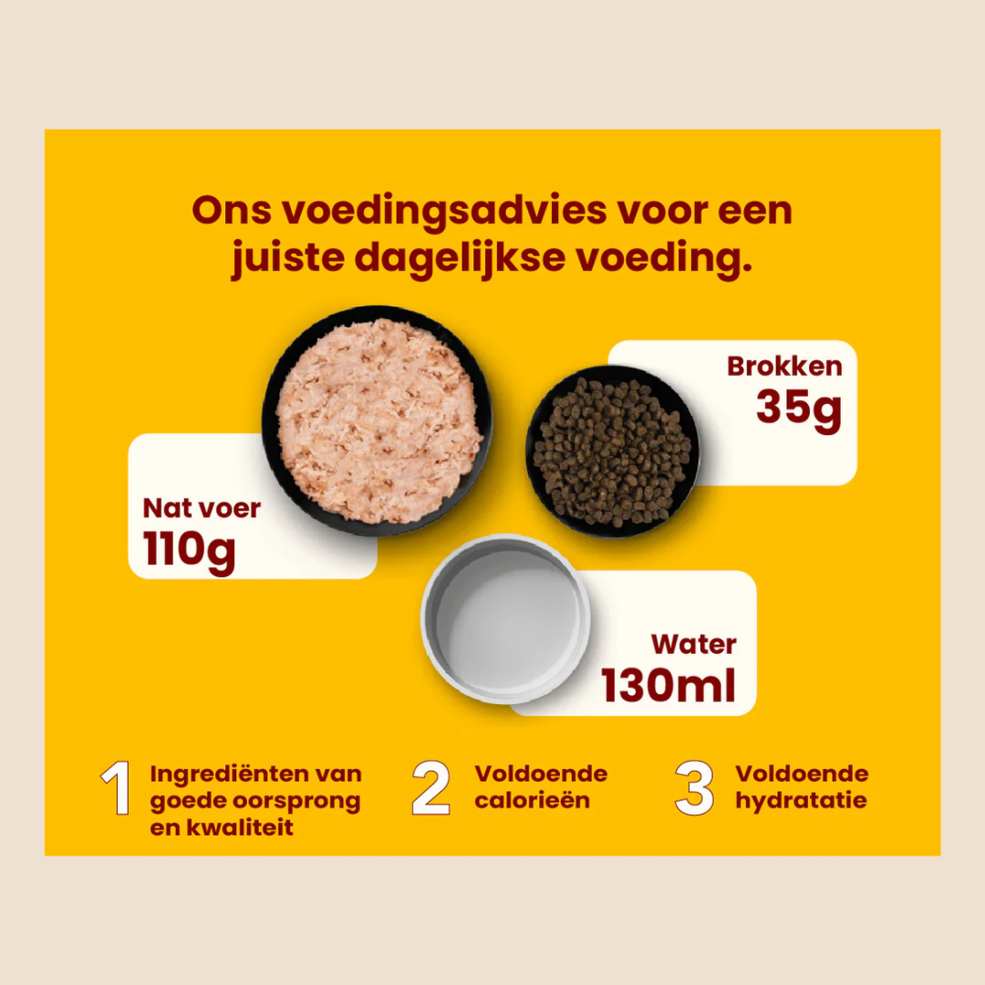 HFC Our Best Droogvoer Kat - Adult Highly Appetizing - Verse zalm - 300 gram