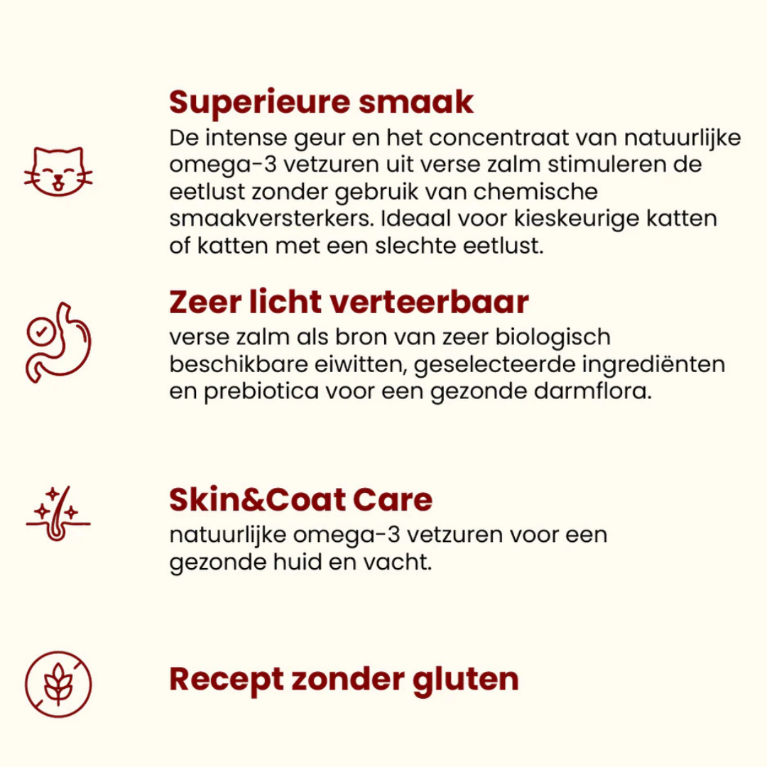 HFC Our Best Droogvoer Kat - Adult Highly Appetizing - Verse zalm - 300 gram