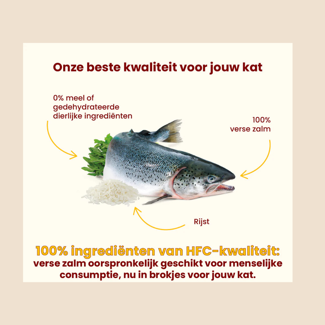 HFC Our Best Droogvoer Kat - Adult Highly Appetizing - Verse zalm - 300 gram
