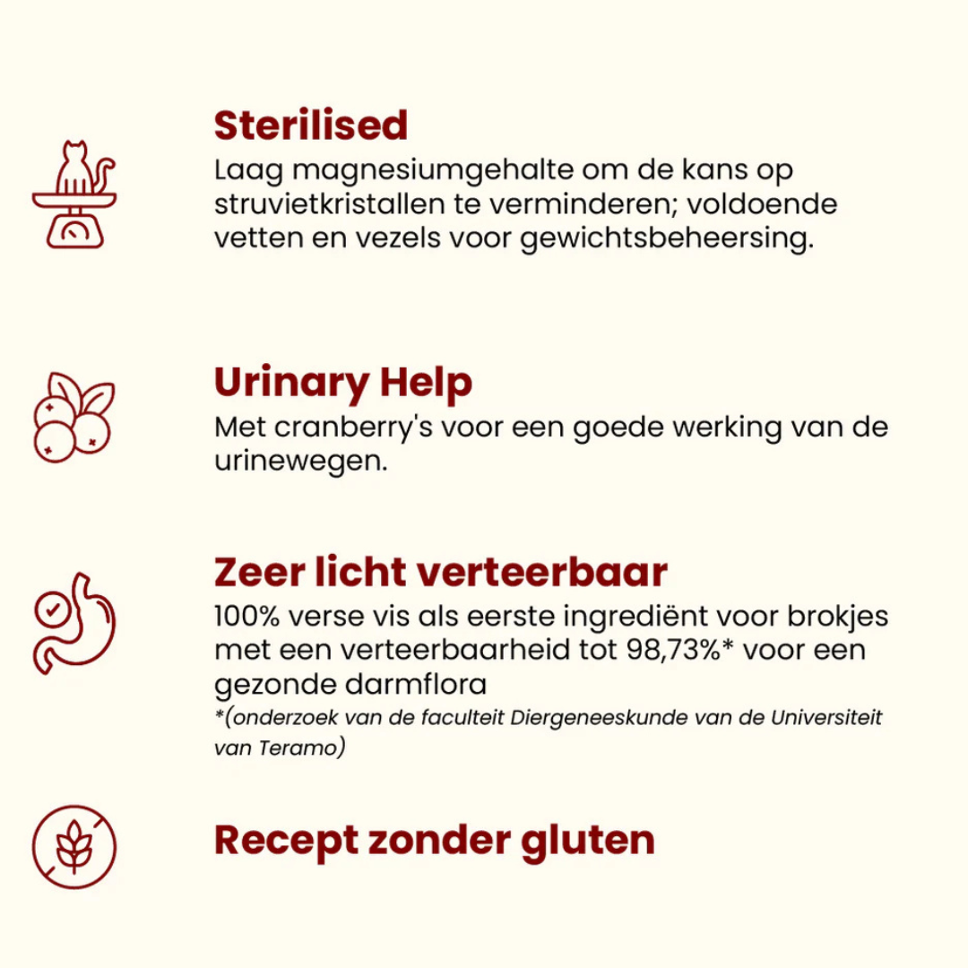 HFC Our Best Droogvoer Kat - Adult Sterilised - Vers Varken - 300 gram