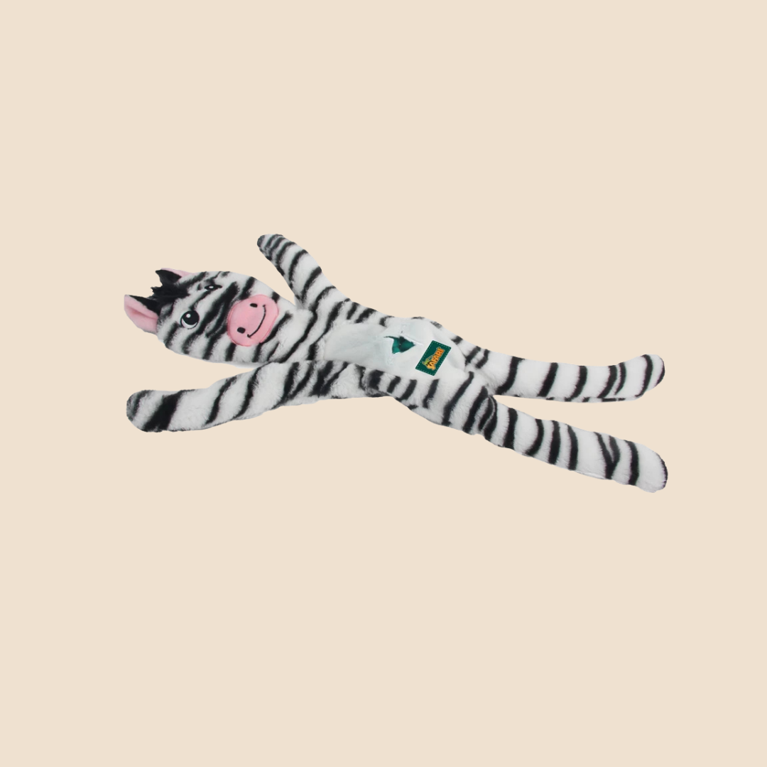 AFP Safari - Jungle Zebra