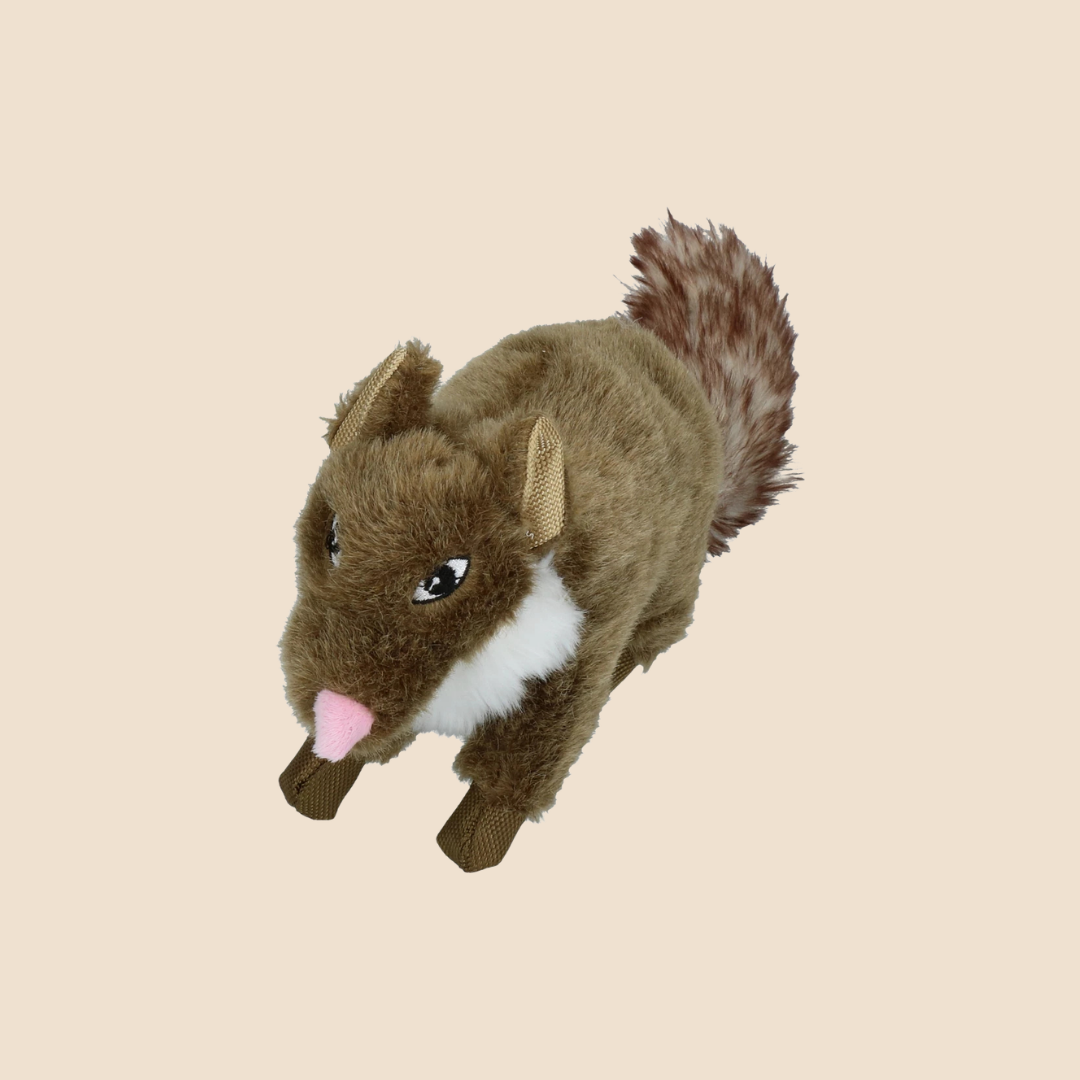 Wild Life Dog Marter