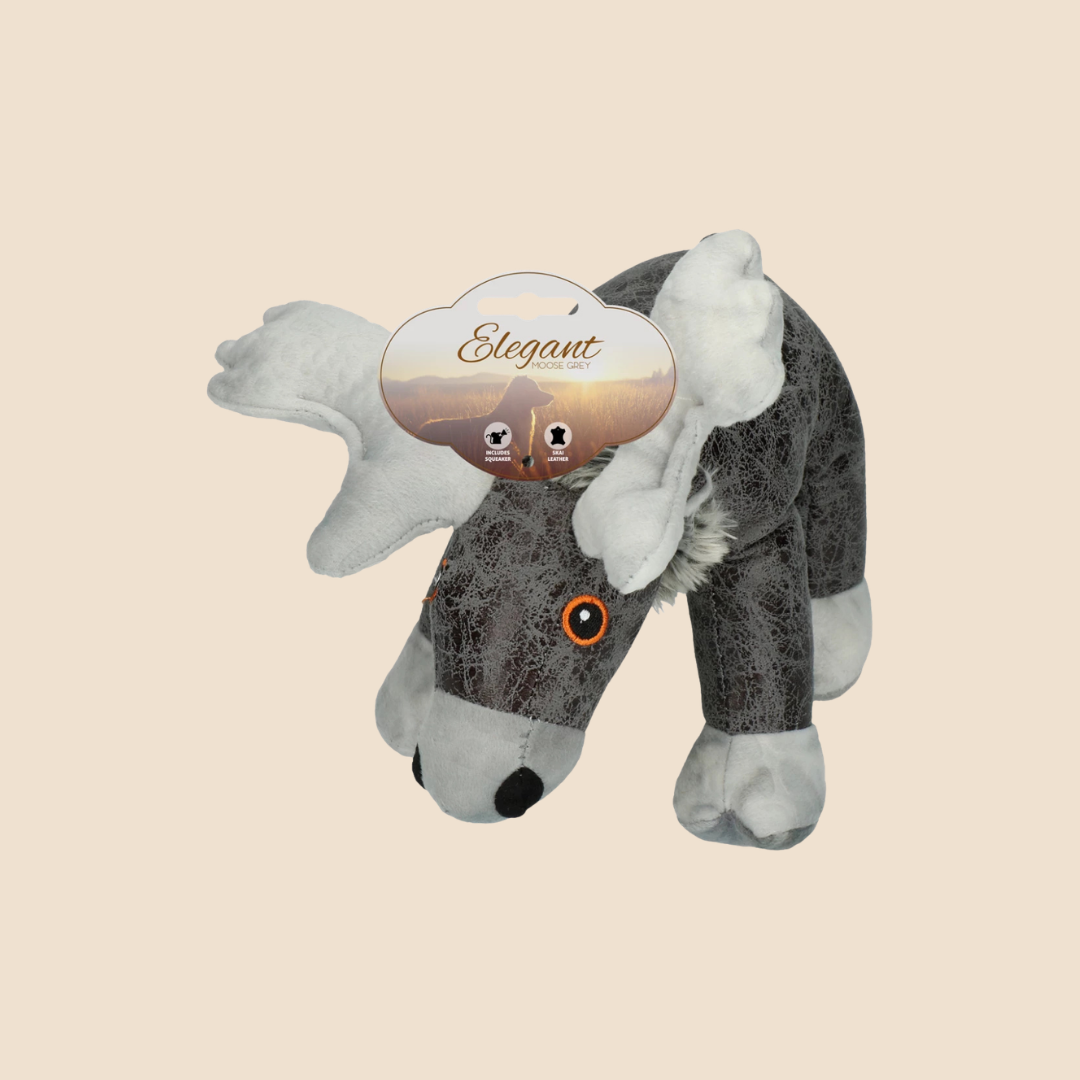 Elegant Moose