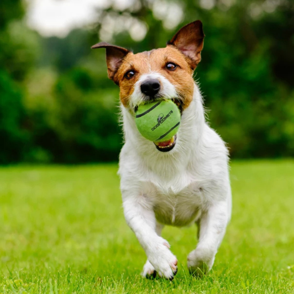Dog Comets Tennisbal met Pieper - Groen L