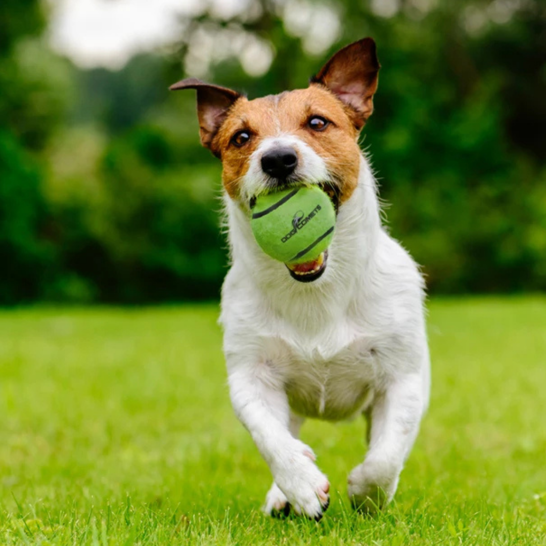 Dog Comets Tennisbal met Pieper - Groen L