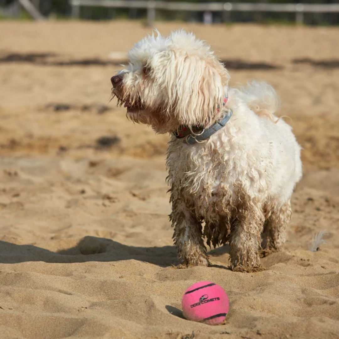Dog Comets Tennisbal met Pieper - Roze S